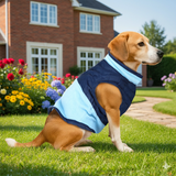 Chaleco para Mascota, Color Azul Cielo