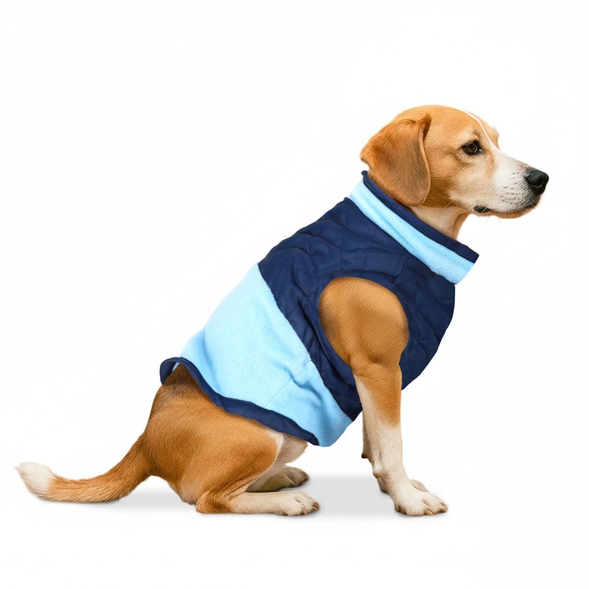 Chaleco para Mascota, Color Azul Cielo