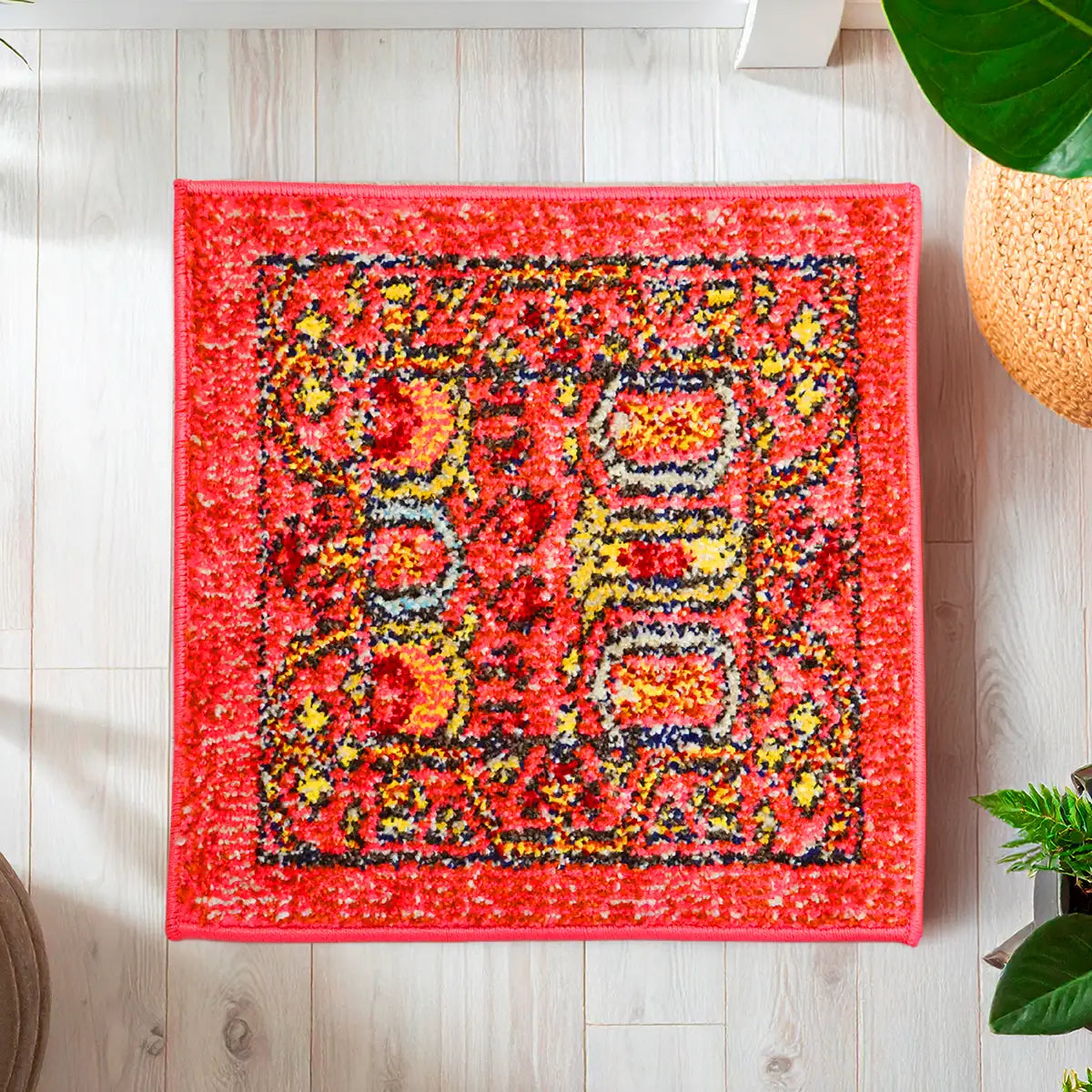 Elodia, Tapete Cuadrado