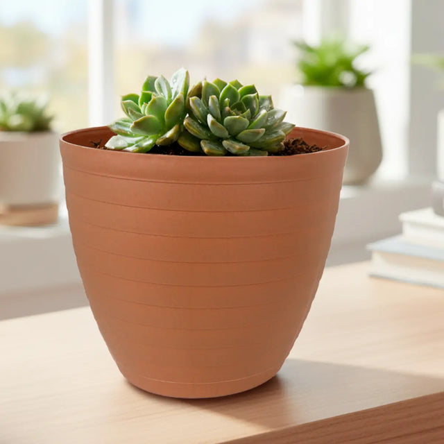 Maceta de Plástico, Textura Líneas, Color Café