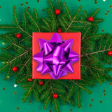 Moños de Regalo, Color Morado, 4 pzas