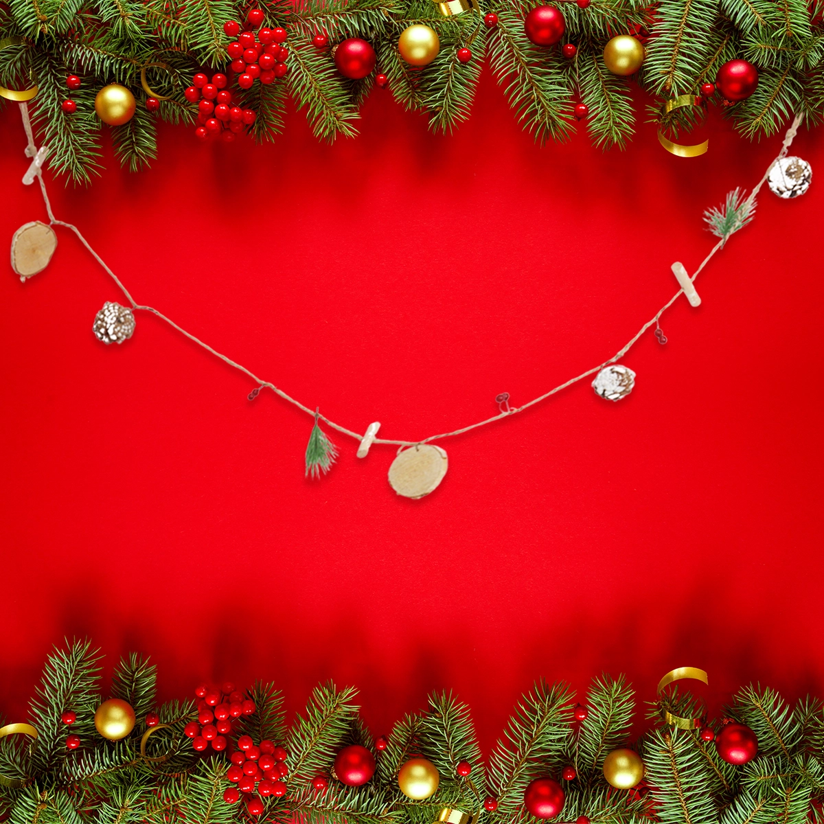 Guirnalda con Piñas