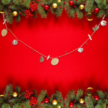 Guirnalda con Piñas