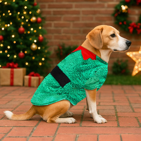 Suéter para Mascota, Duende