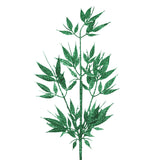 Follaje Decorativo, Glitter, Color Verde