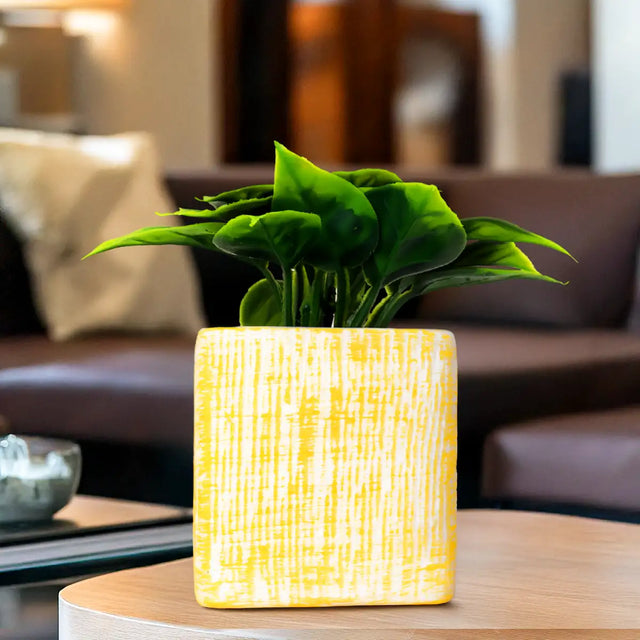 Planta con Maceta Cuadrada, Color Amarillo