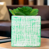 Planta con Maceta Cuadrada, Color Verde