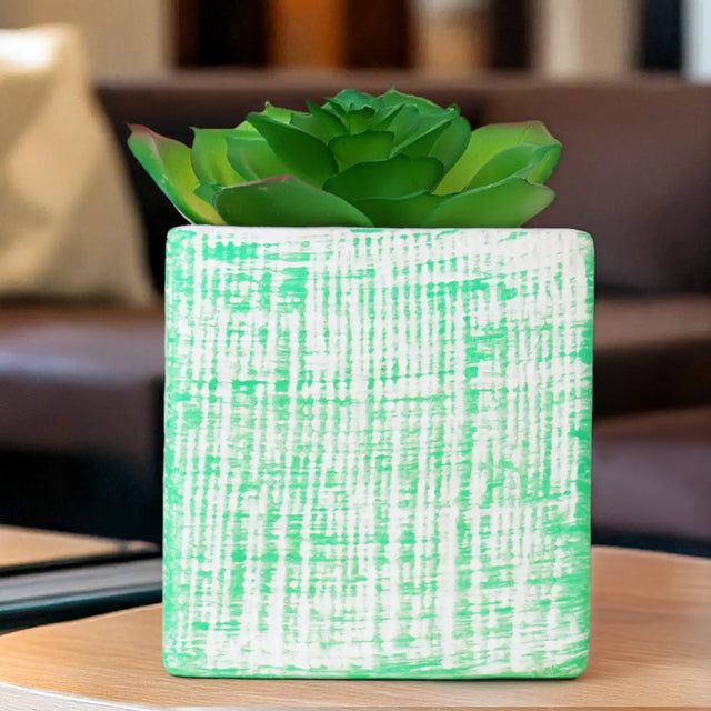 Planta con Maceta Cuadrada, Color Verde
