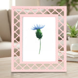 Portarretrato, Diseño Red, Color Rosa