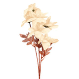 Ramo de Flores, Campanilla