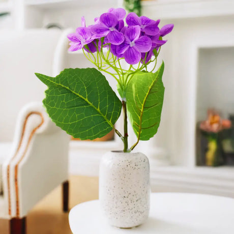 Hortensia, Color Morado