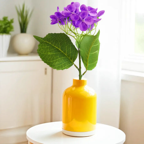 Hortensia, Color Morado