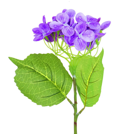 Hortensia, Color Morado
