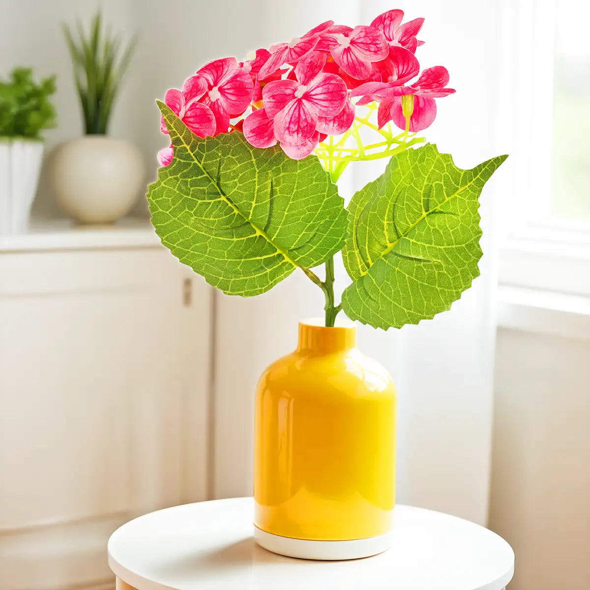 Hortensia, Color Rosa