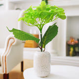 Hortensia, Color Verde