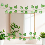 15 12AA ENREDADERA V7