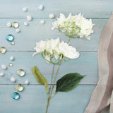 Bugambilia, 2 Flores, Color Blanco