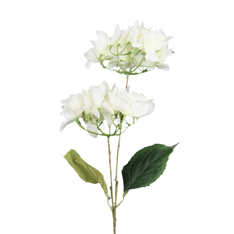 Bugambilia, 2 Flores, Color Blanco