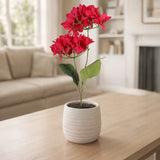 Bugambilia, 2 Flores, Color Fucsia