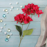 Bugambilia, 2 Flores, Color Fucsia