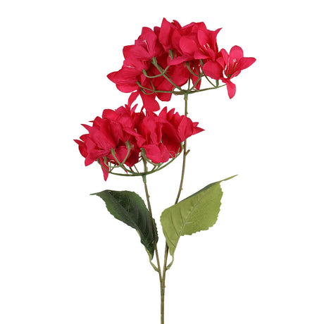 Bugambilia, 2 Flores, Color Fucsia