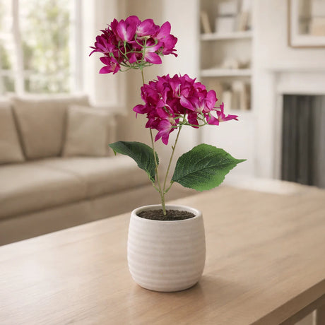 Bugambilia, 2 Flores, Color Morado