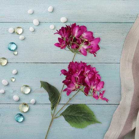 Bugambilia, 2 Flores, Color Morado