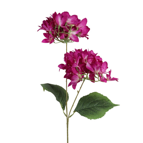 Bugambilia, 2 Flores, Color Morado