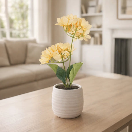 Bugambilia, 2 Flores, Color Durazno