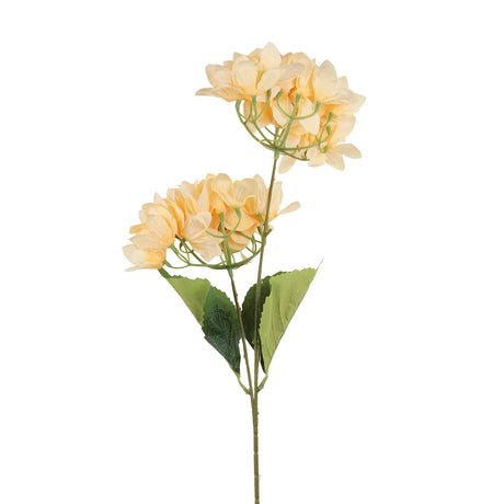 Bugambilia, 2 Flores, Color Durazno