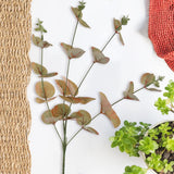 Follaje Artificial, Rama, Color Verde y Café, 4 pzas