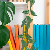 15 12AA ENREDADERA V1