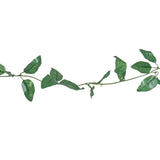 15 12AA ENREDADERA V1