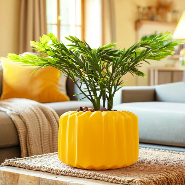 Planta con Diseño, Color Amarillo