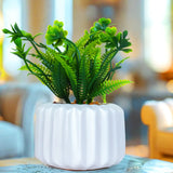 Planta con Maceta, Diseño Geométrico, Color Crema