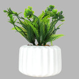 Planta con Maceta, Diseño Geométrico, Color Crema