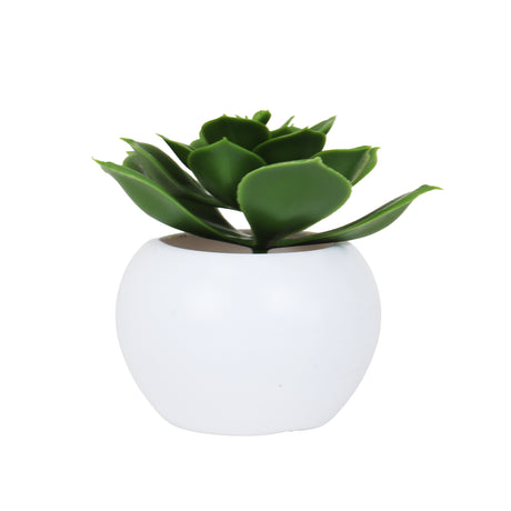 Suculenta Echeveria Artificial, Maceta Blanca