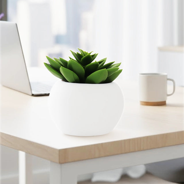 Mini Suculenta Echeveria Artificial con Maceta Blanca