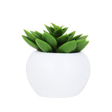 Mini Suculenta Echeveria Artificial con Maceta Blanca
