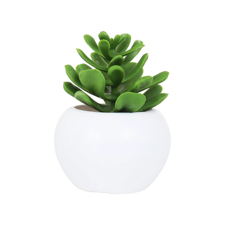Mini Suculenta Echeveria Artificial con Maceta