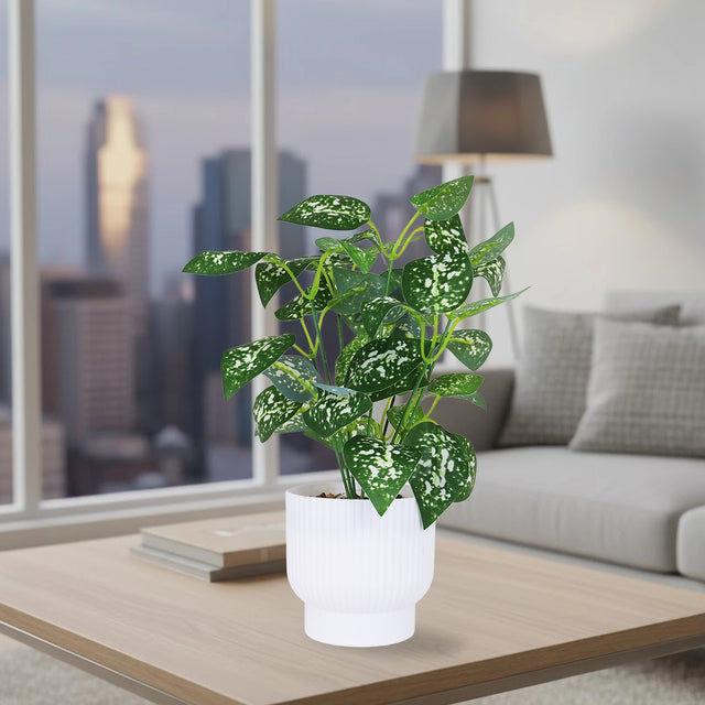 Calathea Artificial con Maceta