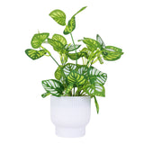 Calathea Artificial con Maceta Blanca