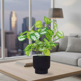 Calathea Artificial con Maceta Color Negro