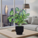 Calathea Amarilla Artificial con Maceta