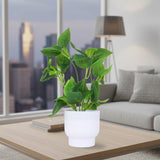 Planta Artificial con Hojas, Maceta Blanca