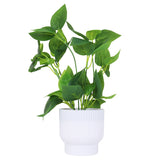 Planta Artificial con Hojas, Maceta Blanca