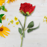 17 12AA FLOR ROSA INDIVIDUAL 2ROJO