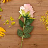 17 12AA FLOR ROSA INDIVIDUAL 2ROSA