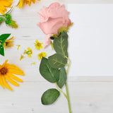 17 12AA FLOR ROSA INDIVIDUAL 2