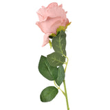 17 12AA FLOR ROSA INDIVIDUAL 2